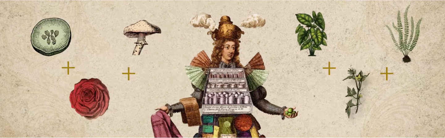 Expertise Motion Design